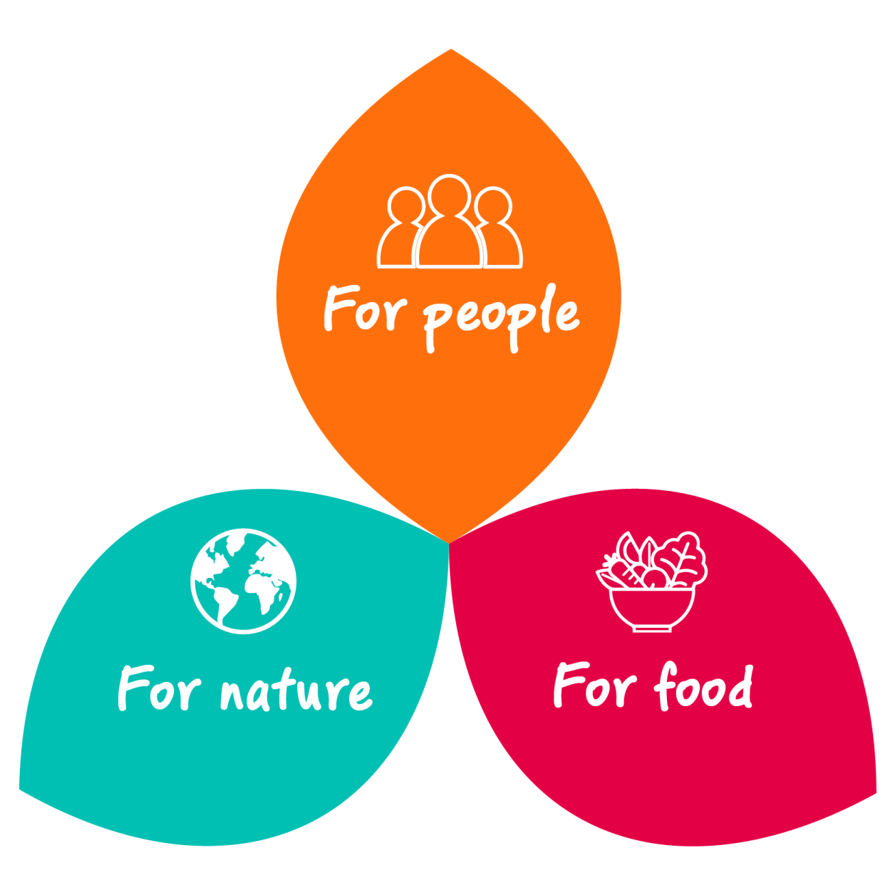 The Dole Way Graphic